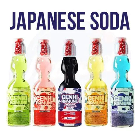 Genki Variety Flavours Bundle Pack of 5